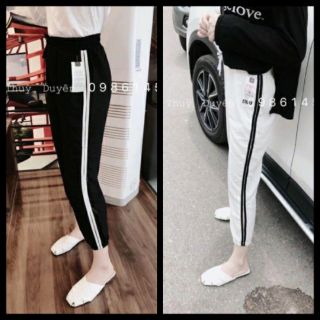 Quần jogger đũi phối sọc năng động