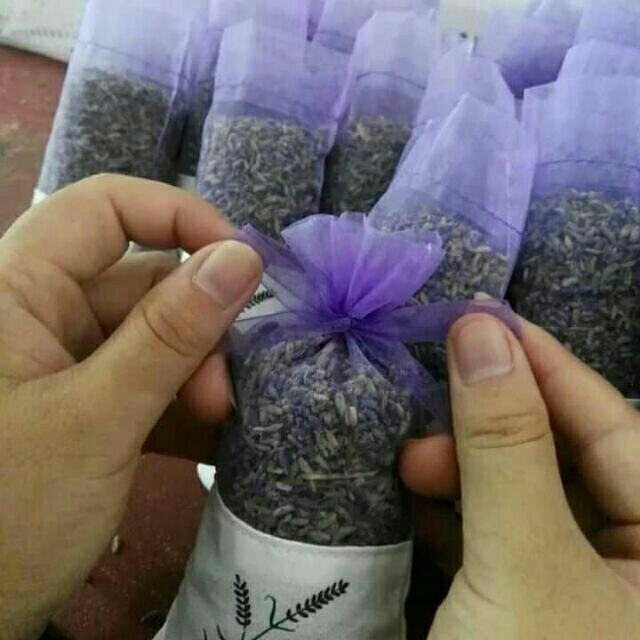 [Xả kho + free ship] Túi Thơm Hoa Oải Hương Lavender