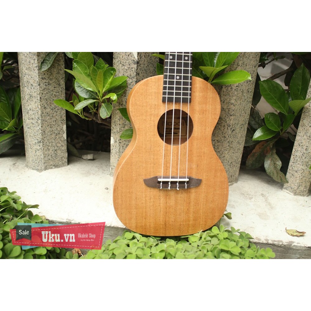 Đàn Ukulele Mcool Classic