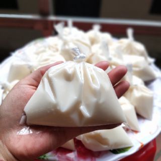 Nấm sữa KEFIR