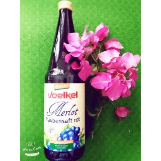 Nước ép nho đỏ hữu cơ Voelkel (700ml)