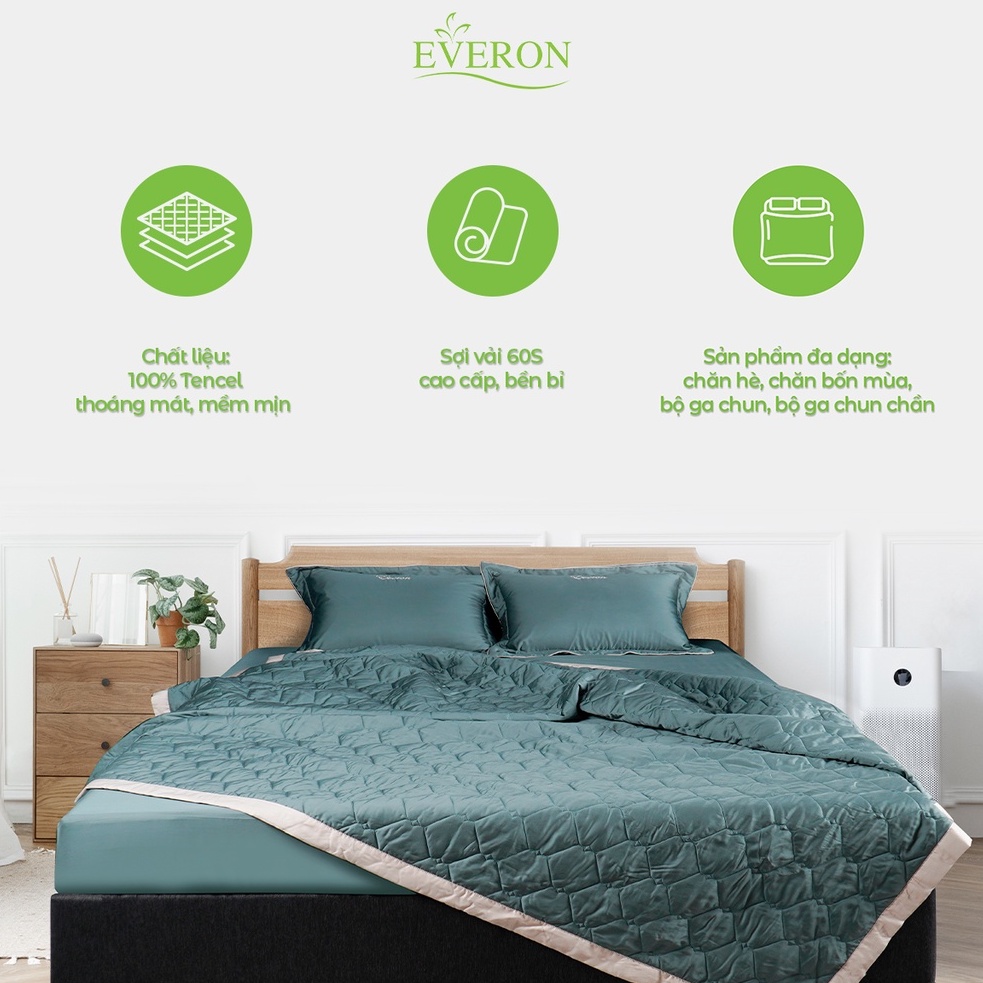 Bộ ga gối EVERON Micro Modal màu trơn Basic mã Castle OL2301 nhiều kích thước