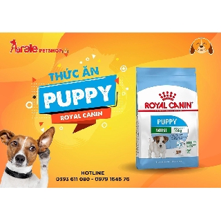 ROYAL CANIN MINI PUPPY( thức ăn chó con dòng nhỏ) CHÍNH HÃNG