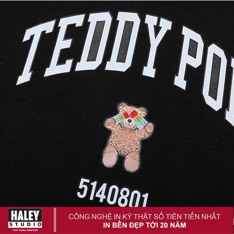 Áo Sweater Nam Nữ TEDDY POP Đẹp phong cách Hàn Quốc. Chất nỉ dày ấm HD315 Áo Hôdie sweater quà ngẫu nhiên
