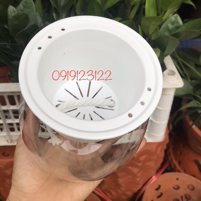 Set 10 bộ chậu thuỷ sinh 10*13cm