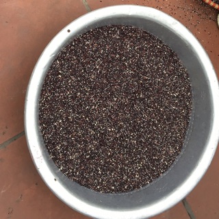 Gạo nếp cẩm 105k/3kg