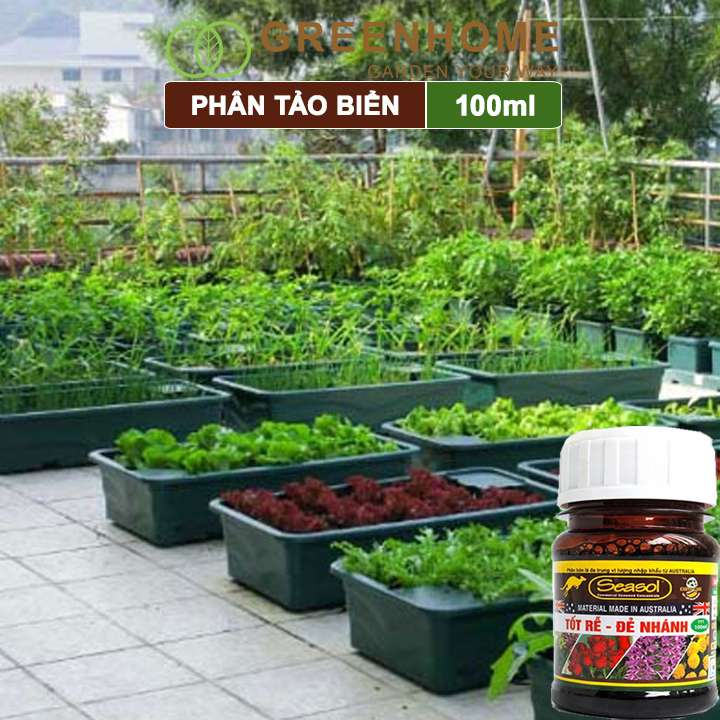 Phân bón lá tảo biển Greenhome, chai 100ml, làm từ tảo biển, tốt rễ, kích đẻ nhánh nhiều, cành to