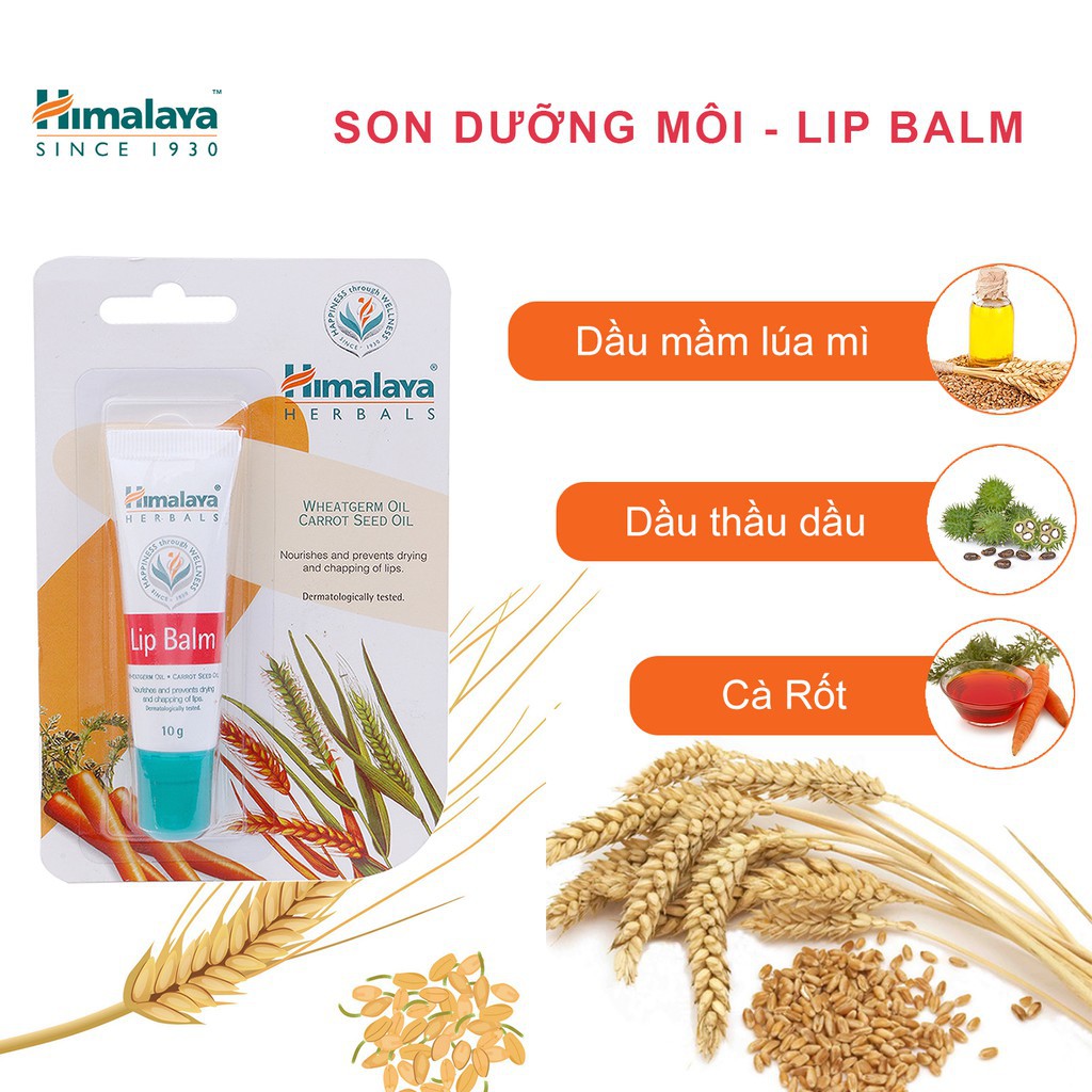 [DATE MỚI] Son dưỡng hồng môi chiết xuất cà rốt Himalaya Lip Balm 10g - HM15