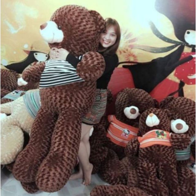 Gấu teddy khổ m8 cao 1m6 nhiều màu