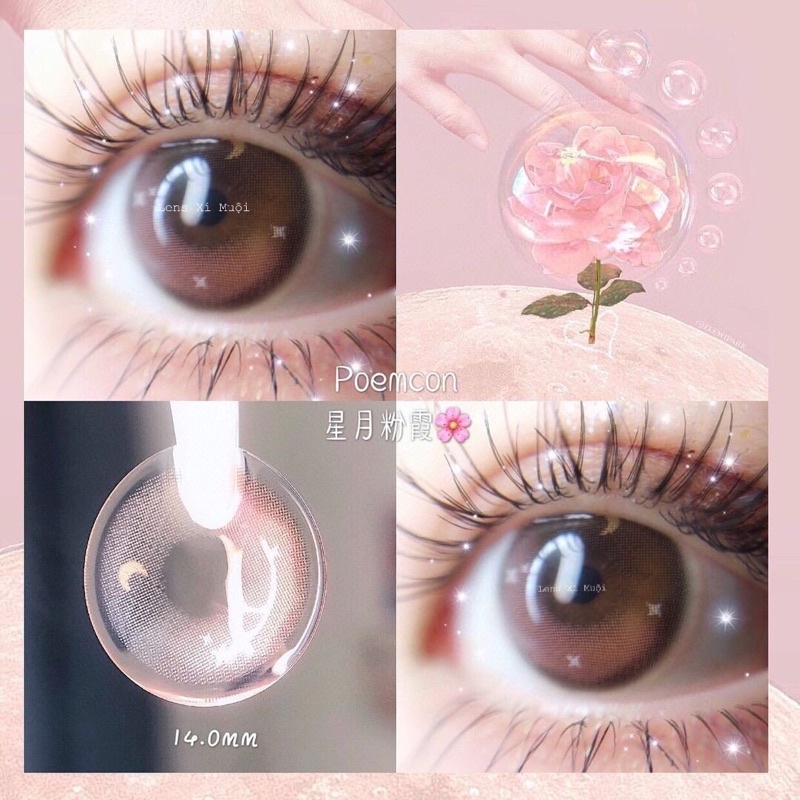 Lens nâu Moon Brown X644 có độ