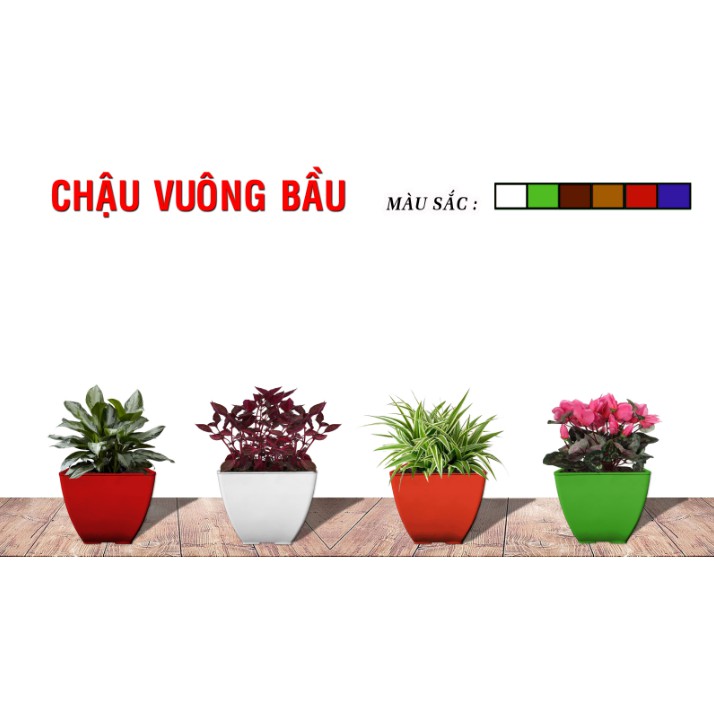 Chậu Nhựa Vuông Bầu Nhiều Màu Trồng Cây, Hoa Kiểng (Chọn Size)