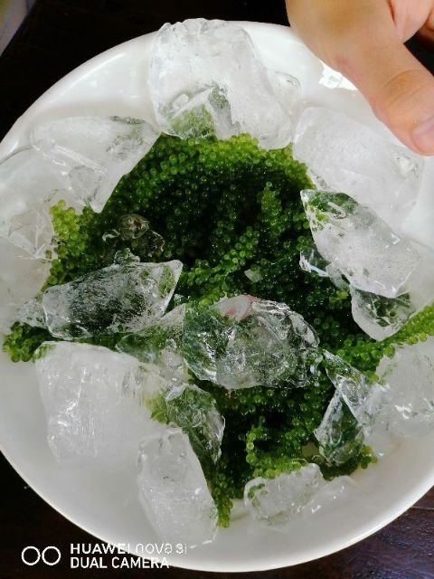 100gr rong nho tách nước Nha Trang(tặng kèm sốt mè rang)❤nở đều, xanh đẹp❤freeship