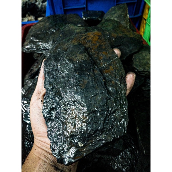 Đá Trầm Tích Đen (1KG)| Trang Trí Setup Bể Thủy Sinh, Biotope, Blackwater| Mua Nhiều Giảm Giá