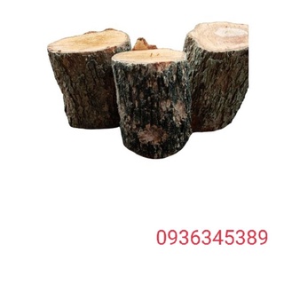 Gỗ nhãn ghép lan, đường kính 14-18 cm, cao 15-25 cm