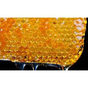 Mật Ong Tracybee chai thủy tinh 600ml