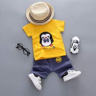 Bộ cotton chim cánh cụt
