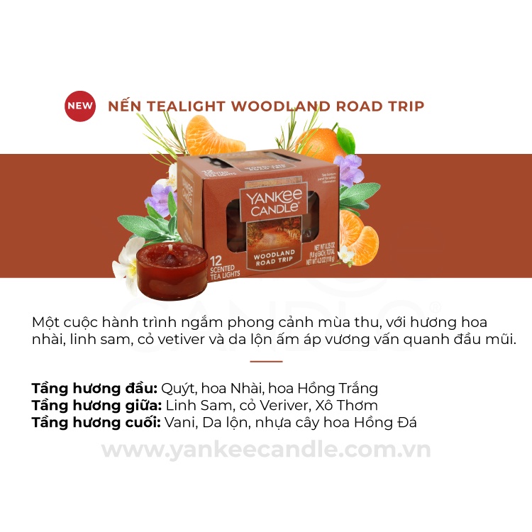 Nến Tealight Yankee Candle (hộp 12 nến/1 mùi)