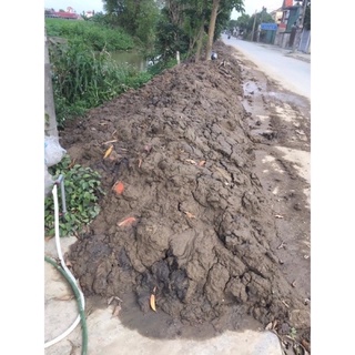 Bùn Khô Trồng Sen 1kg