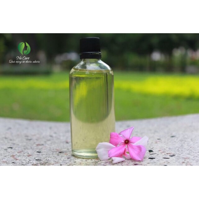 Tinh dầu tràm nguyên chất 100ml