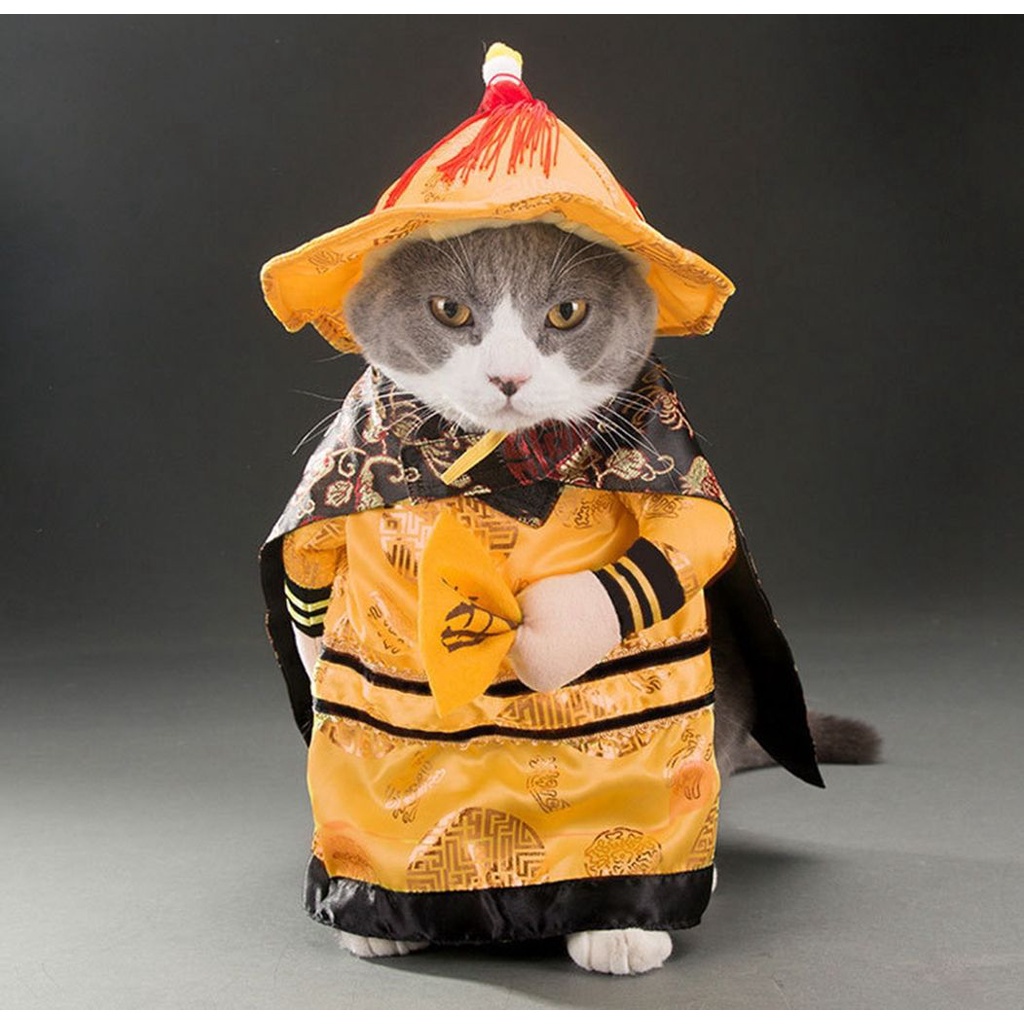 Bộ đồ hóa trang nhân vật hoạt hình nhiều kích thước dễ thương cho cún và mèo cưng