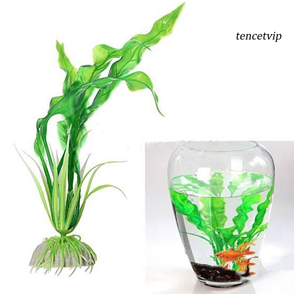 Cỏ Nhân Tạo Trang Trí Bể Cá