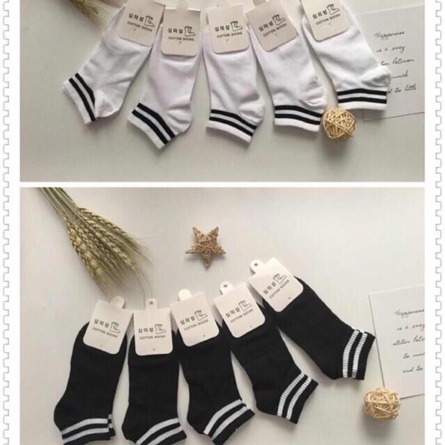 Sét 10 đôi tất cổ kẻ cotton hàn quốc