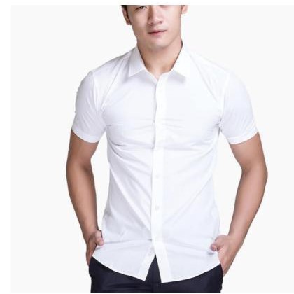 Áo Sơ Mi Cộc Tay Nam, Vải Lụa Chống Nhăn, Dáng Body Hàn Quốc