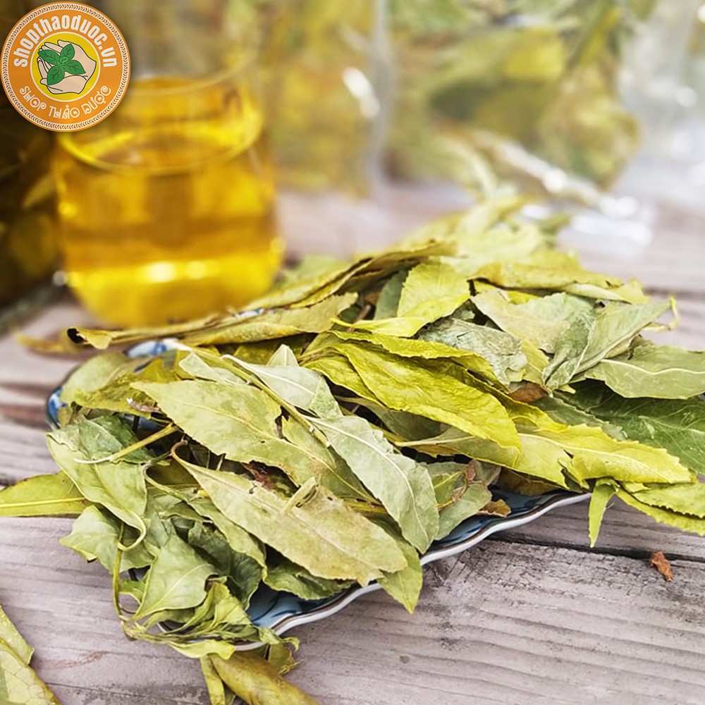 Chè Dung Gói 250G ép chân không - Trà Lá Dung - Tốt Cho Người Đau Dạ Dày