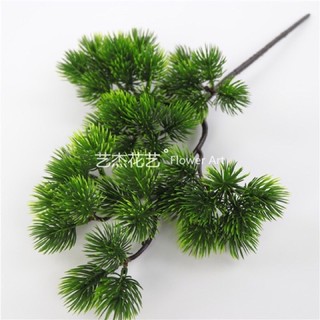 cành tùng trang trí điểm hoa ,decor nhà cửa
