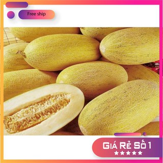 HẠT GIỐNG DƯA LƯỚI VÀNG - 10 HẠT LUCKY.VN