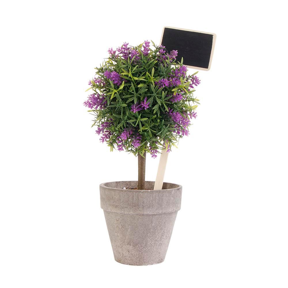 FAY Bộ 10 Thẻ Đánh Dấu Cây Trồng Trong Nhà Kính