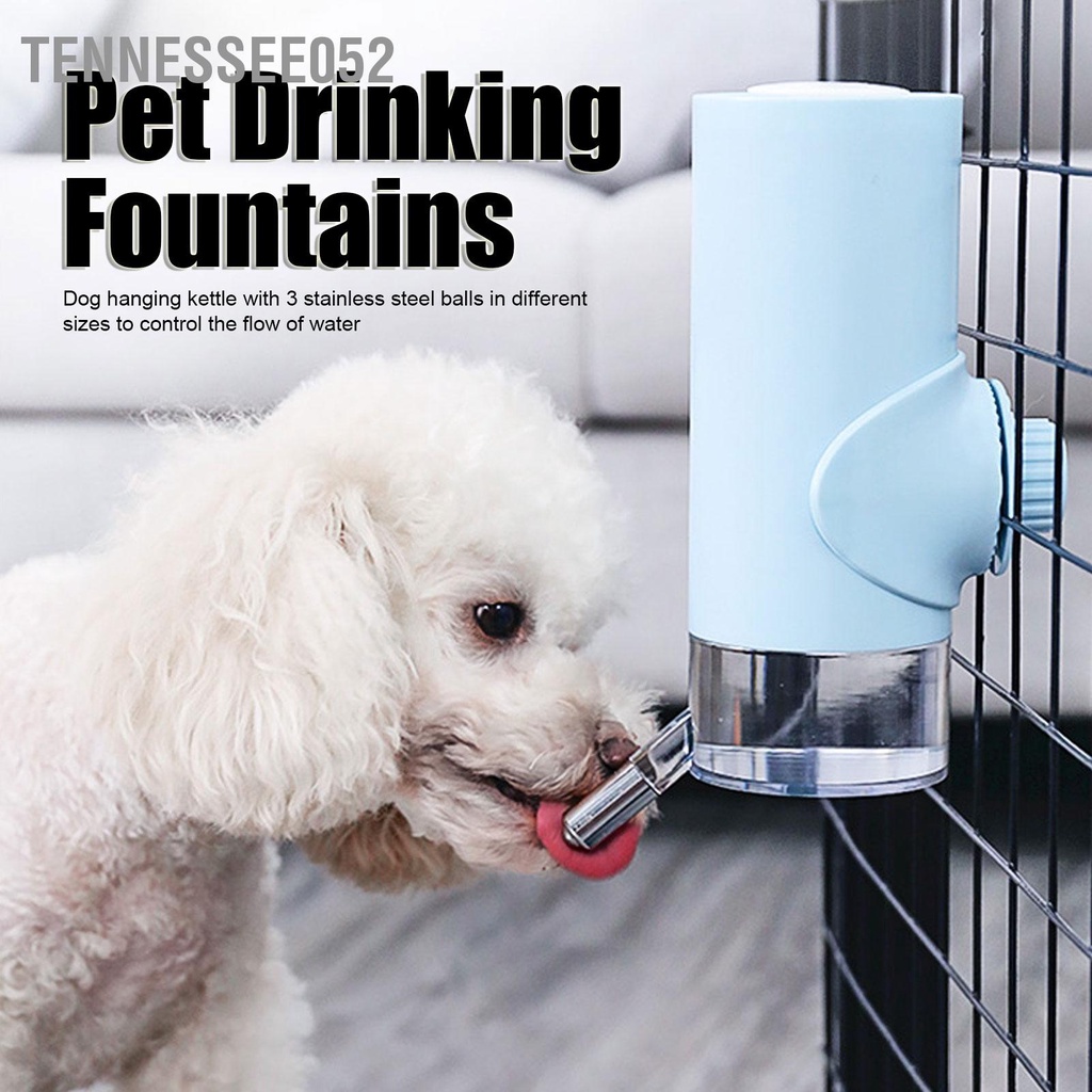 Tennessee052 Vòi nước uống cho thú cưng Ấm siêu tốc treo tự động chó mèo Blue 500ML