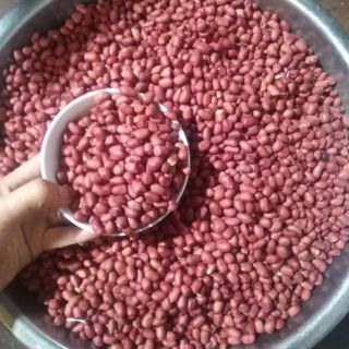 LẠC ĐỎ- CHÍNH HIỆU Lai CHÂU