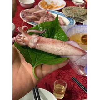 [ship siêu tốc HCM] MỰC HẤP THUYỀN 500gr