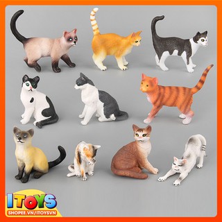 10 con mèo, mô hình động vật chất lượng, cao cấp ITOYS