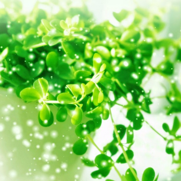 Bi'sShop - Hangtieudunggiare