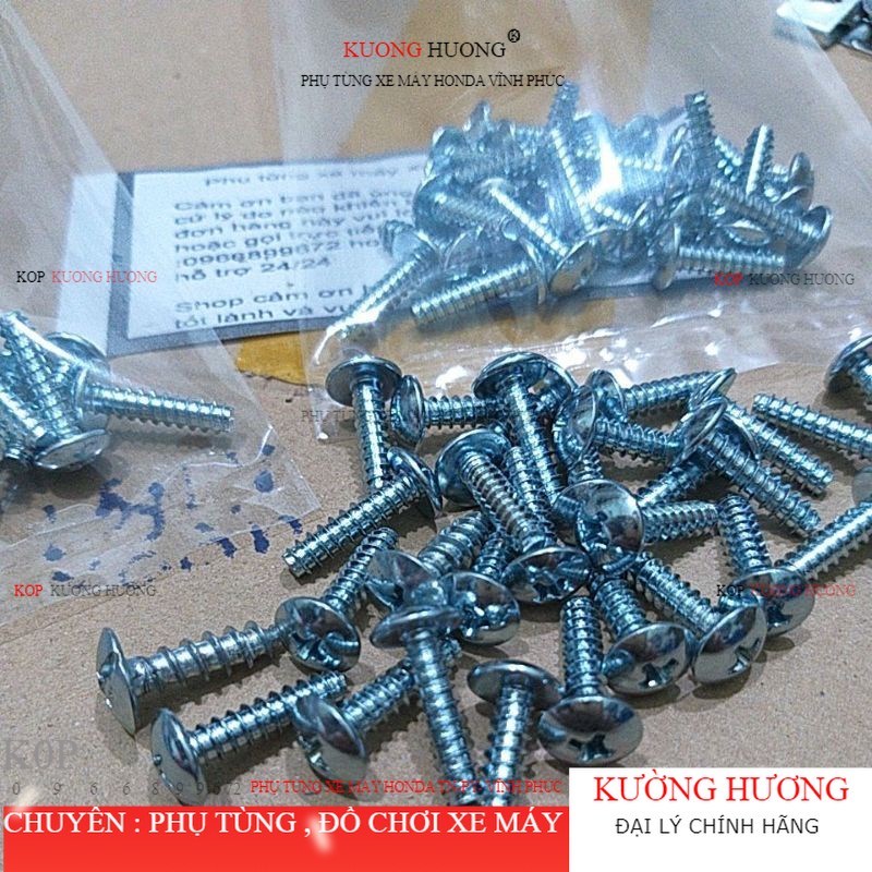 vít 4×16 gắn dàn áo xe máy ( giá 1 bịnh 30 con zin) (-10%)