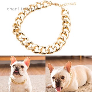 vòng cổ vàng cho chó mèo