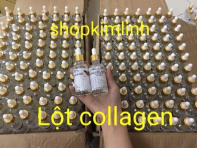 Thay Da collagen sinh học