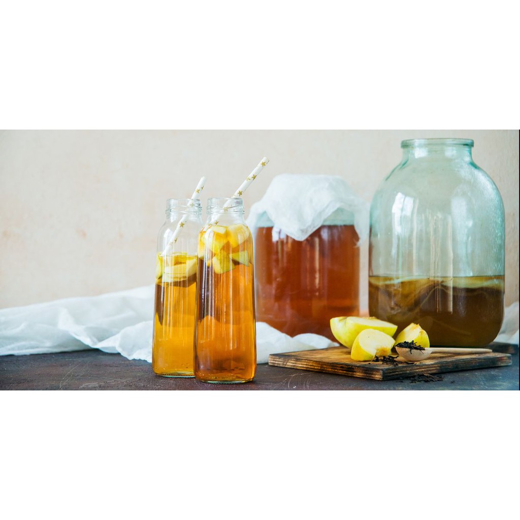 Trà lên men Kombucha 1 lít túi tiện lợi