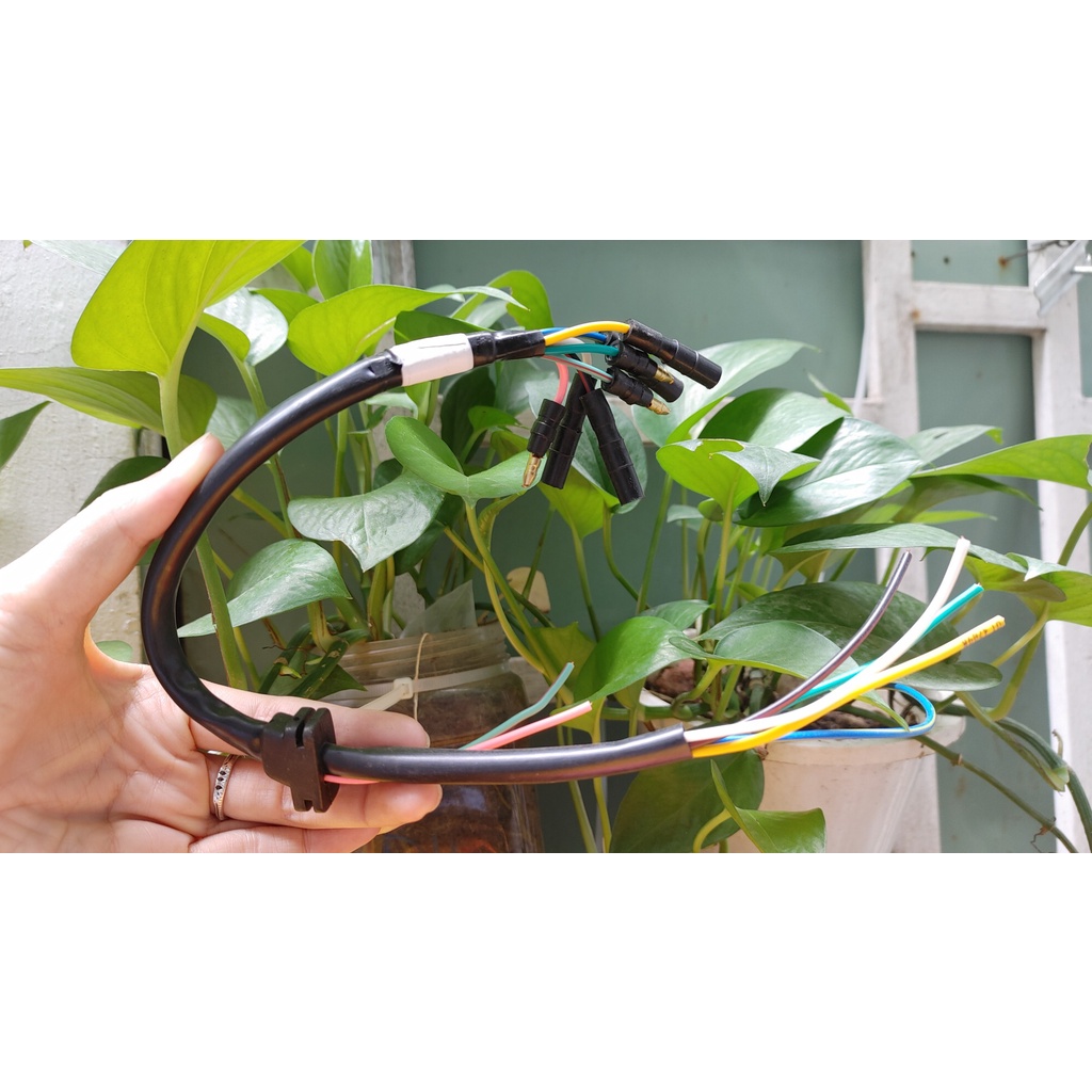 Dây điện mâm lửa dream Thái