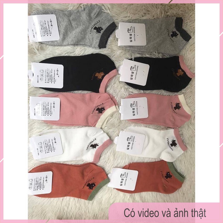 Sét 10 Đôi Tất Mèo Miu Miu Nữ Dễ Thương T03-THESHE