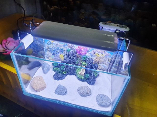 COMBO HỒ CÁ TRANG TRÍ SẴN 1 NÚI 24X15X15CM