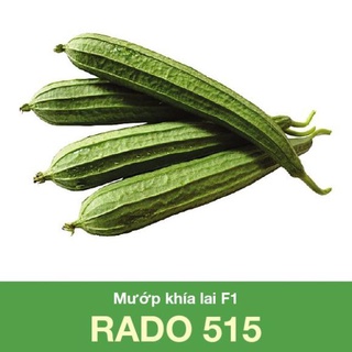 HẠT GIỐNG MƯỚP KHÍA LAI  F1 RADO 515 - 10 HẠT