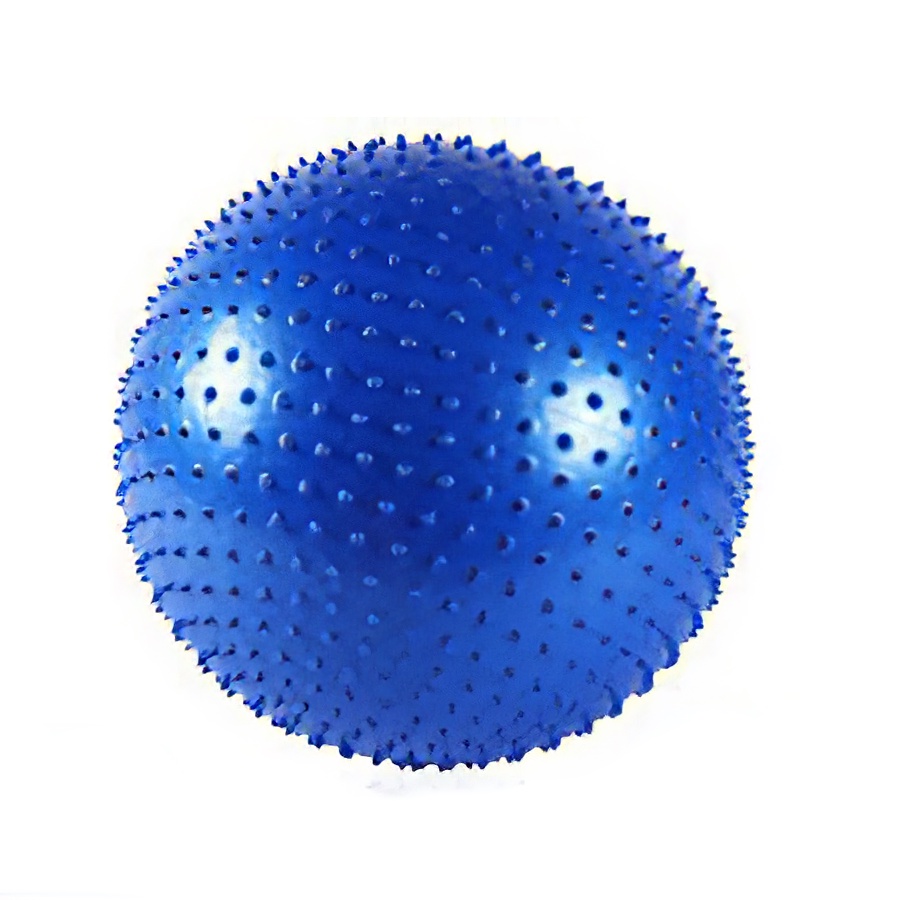 Bóng Tập Gym Có Gai 65cm (1000g) - Bóng tập thể dục, yoga và fitness chất lượng cao Đồ tập EvaYoga