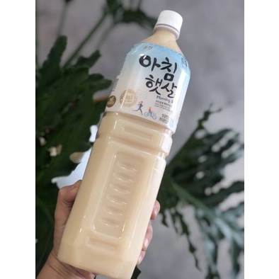 Nước gạo buổi sáng Hàn Quốc 1,5L