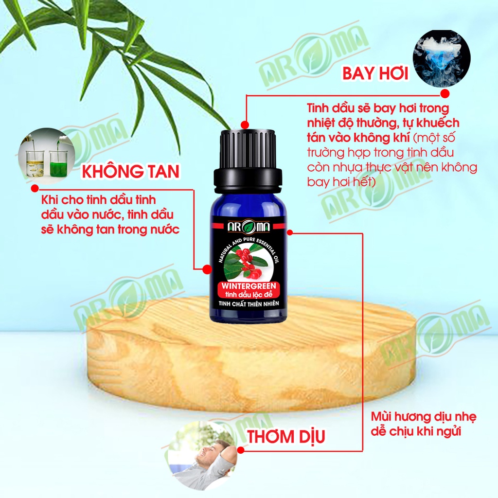 Tinh dầu Lộc Đề Wintergreen AROMA, tinh dầu thơm phòng, thông mũi, khử mùi