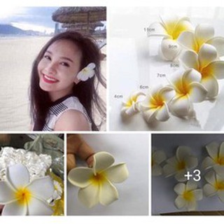 Hoa đại cài tóc cho các bạn gái