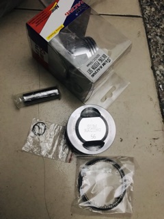 CL BỘ TRÁI ĐỘ 54 - 56 FULL TRAI BẠC ẮC
