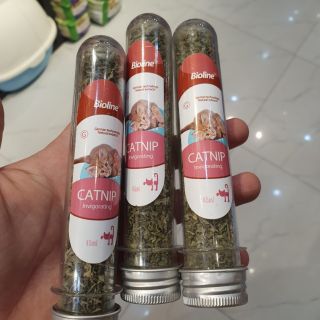Cỏ mèo khô Bioline
